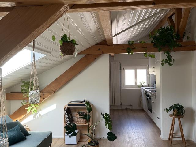 Apartment mieten in Daleu, Chur