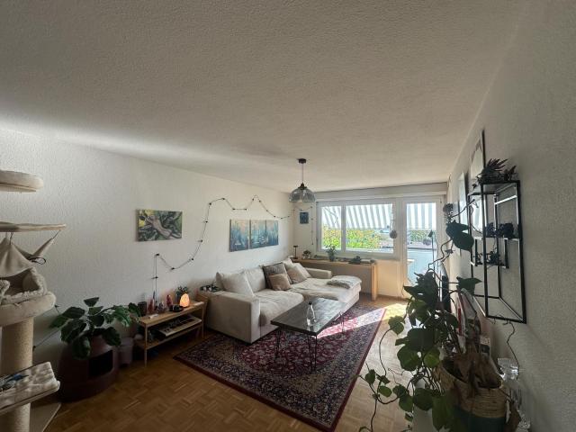 Apartment mieten in Dielsdorf, Zürich