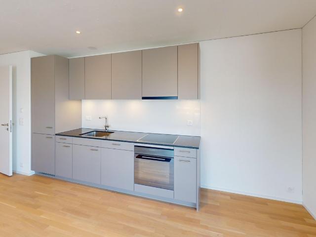 Apartment mieten in Dübendorf, Zürich