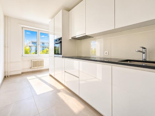 Apartment mieten in Dulliken, Amtei Olten-Gösgen