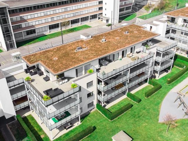 Apartment mieten in Lü