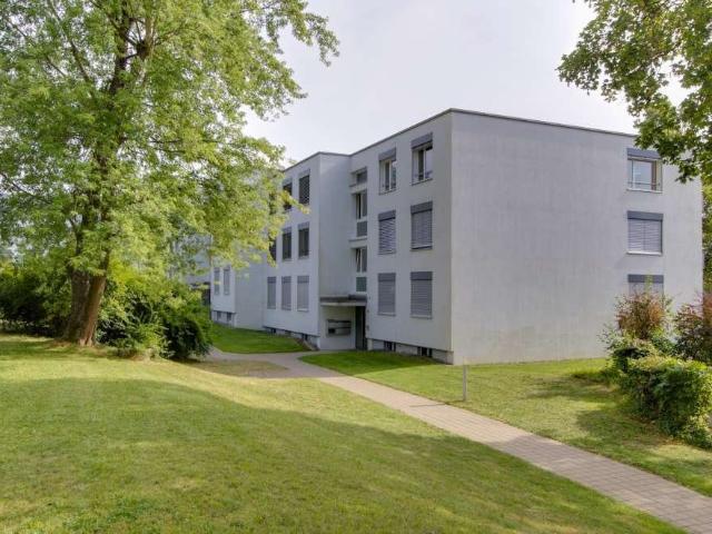 Apartment mieten in Illnau-Effretikon, Zürich