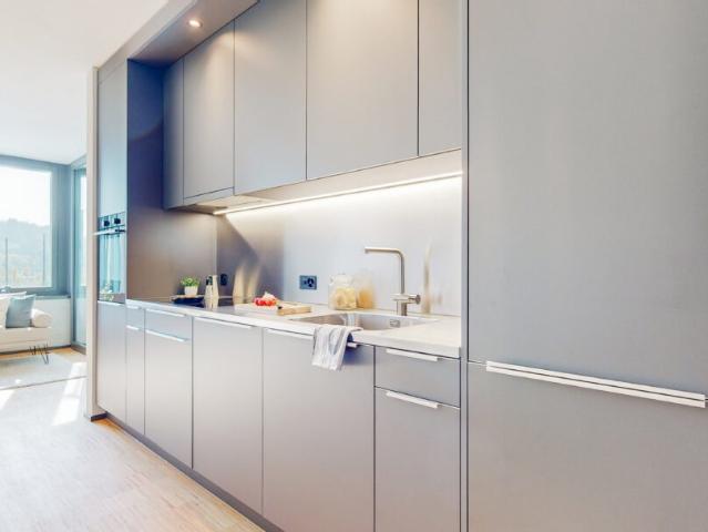Apartment mieten in Lü