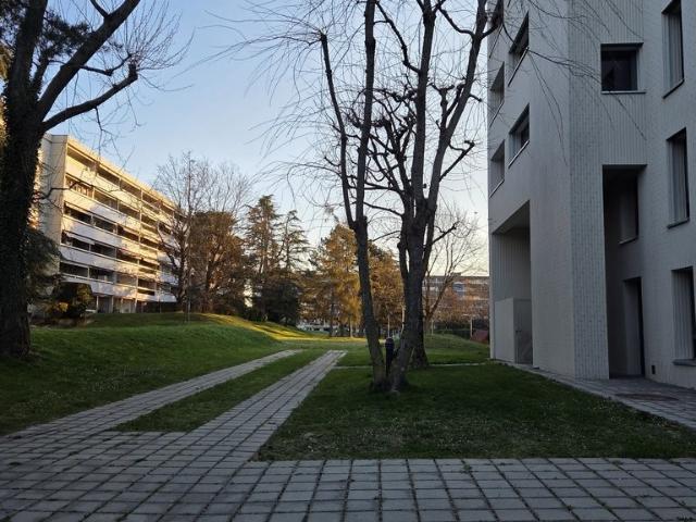 Apartment mieten in Gland, Waadt