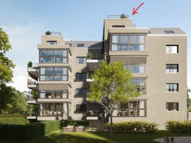 Apartment mieten in Opfikon, Zürich