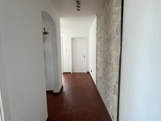 Apartment mieten in Opfikon, Zürich