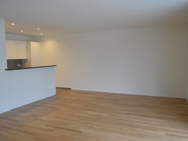 Apartment mieten in Arth, Schwyz