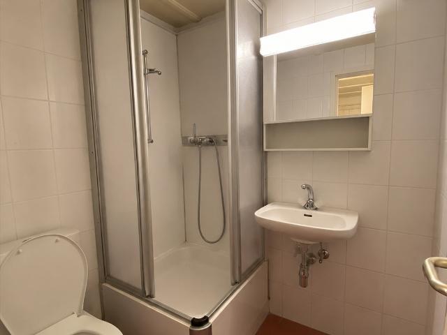 Apartment mieten in Grandvillard, Freiburg