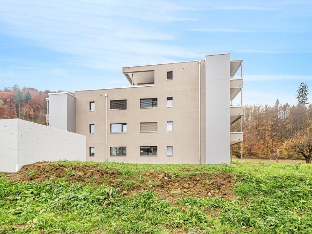 Apartment mieten in Suhr, Aargau