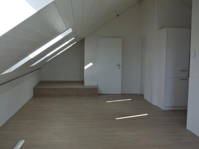 Apartment mieten in Hauteville, Freiburg