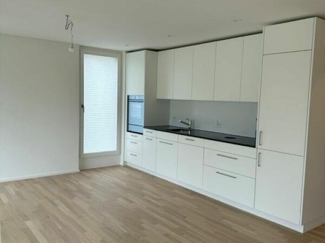 Apartment mieten in Hedingen, Zürich
