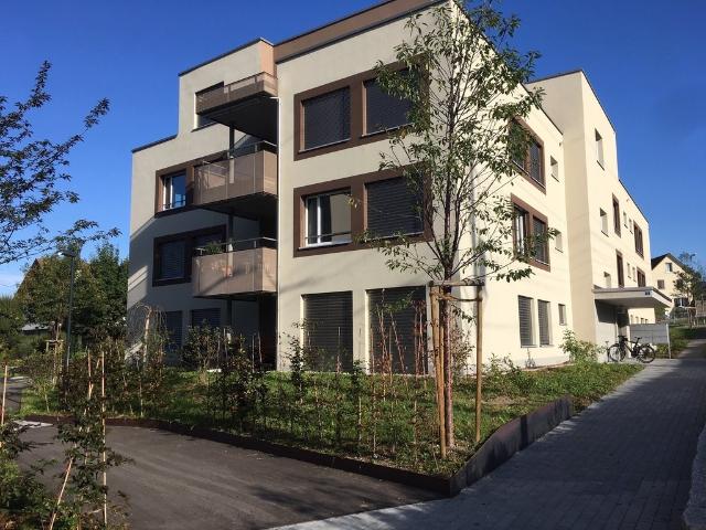 Apartment mieten in Hedingen, Zürich