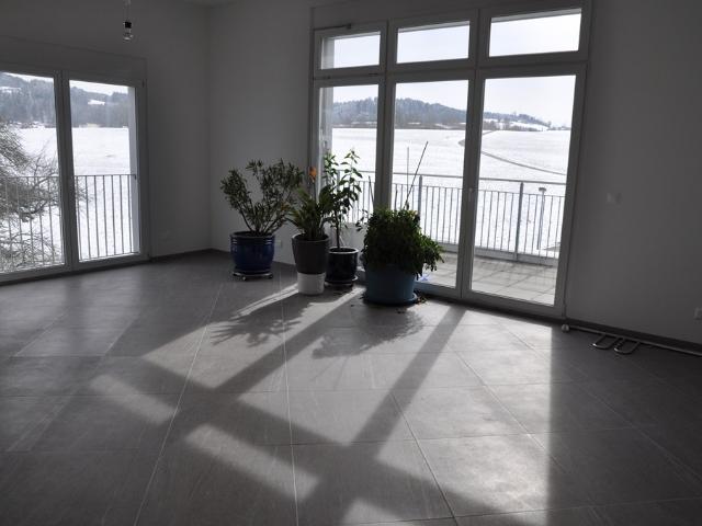 Apartment mieten in Hittnau, Zürich