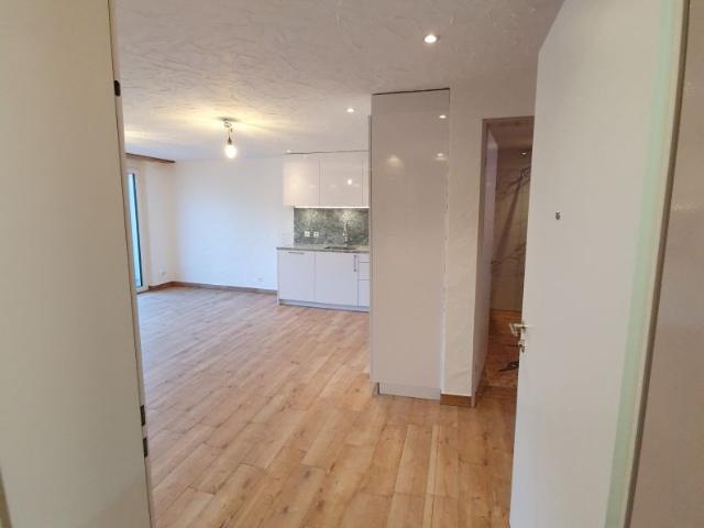 Apartment mieten in Hittnau, Zürich