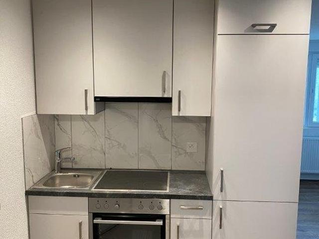 Apartment mieten in La Chaux-de-Fonds