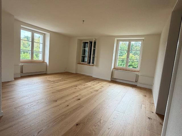 Apartment mieten in Langnau am Albis, Zürich