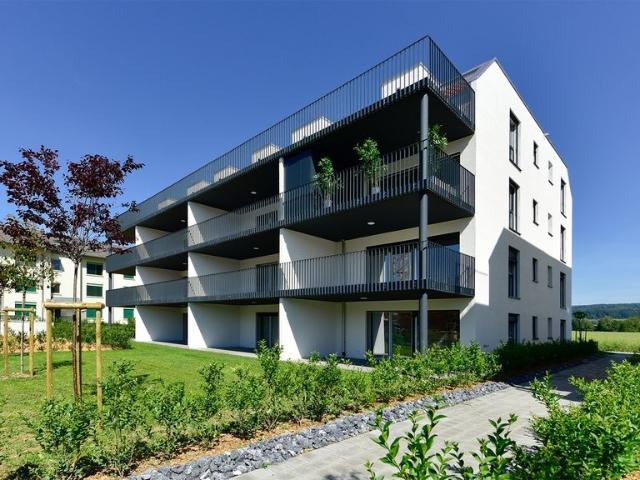 Apartment mieten in Leibstadt, Aargau