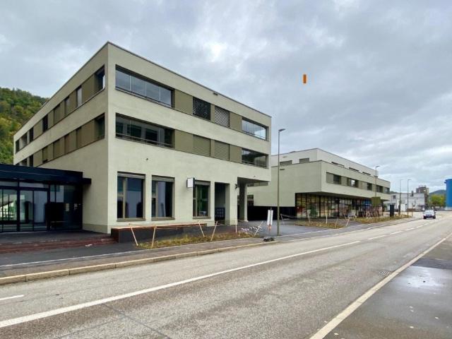 Apartment mieten in Liestal, Basel-Landschaft