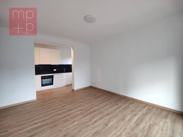 Apartment mieten in Quartiere Maghetti, Lugano
