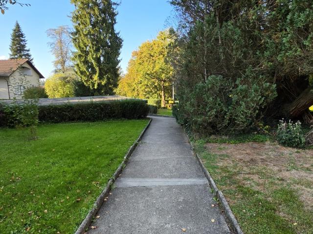 Apartment mieten in Wesemlin, Luzern