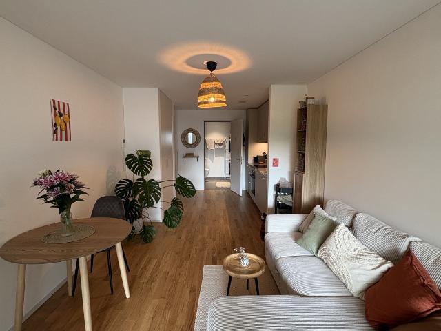 Apartment mieten in Lü
