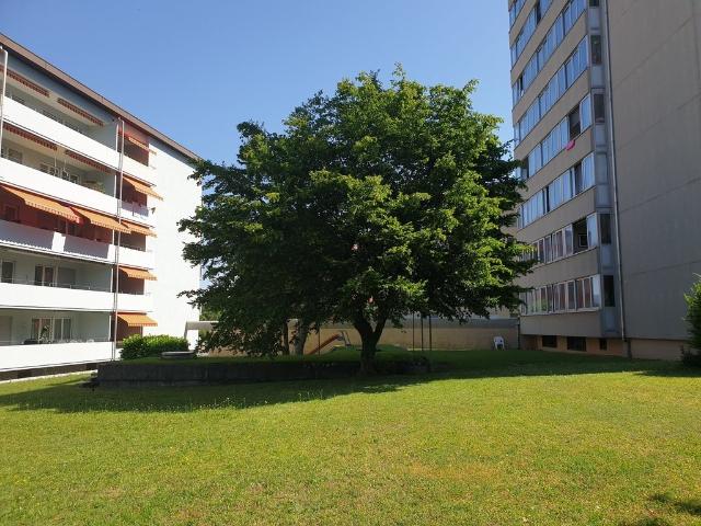 Apartment mieten in Lyss, Bern