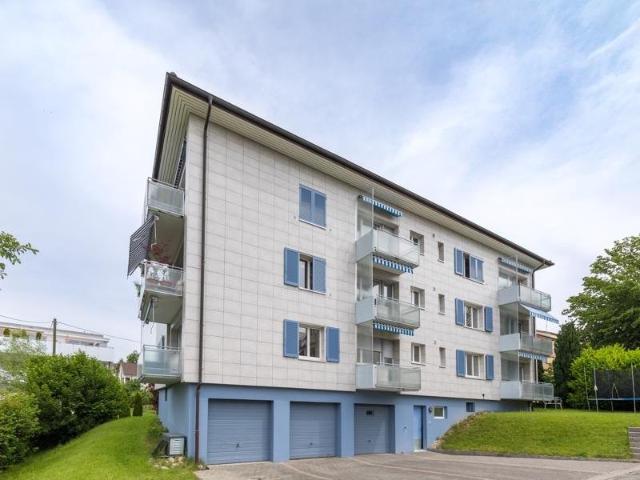 Apartment mieten in Menziken, Aargau