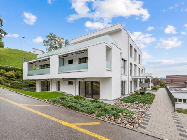 Apartment mieten in Menziken, Aargau