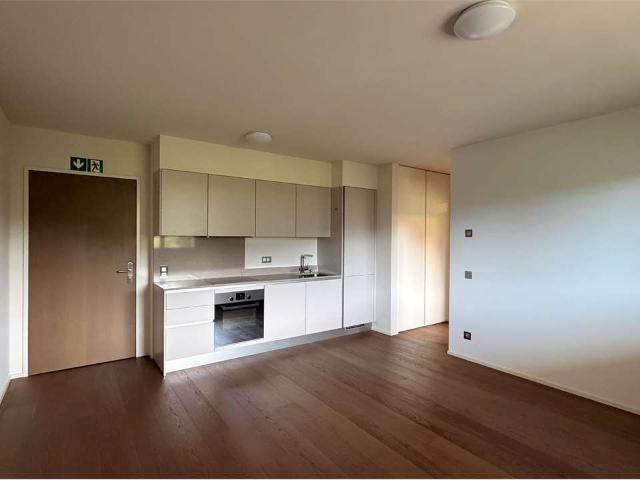 Apartment mieten in Collina d'Oro, Tessin