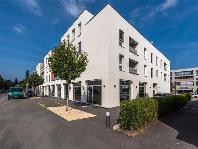 Apartment mieten in Muri Ag, Aargau