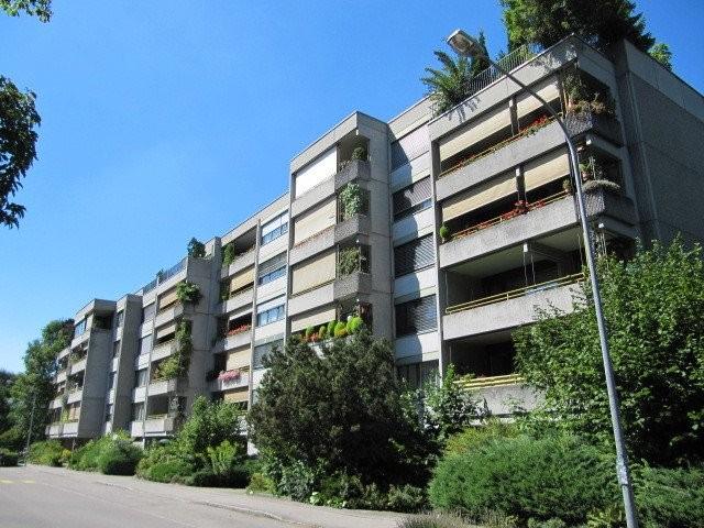 Apartment mieten in Muri bei Bern, Bern