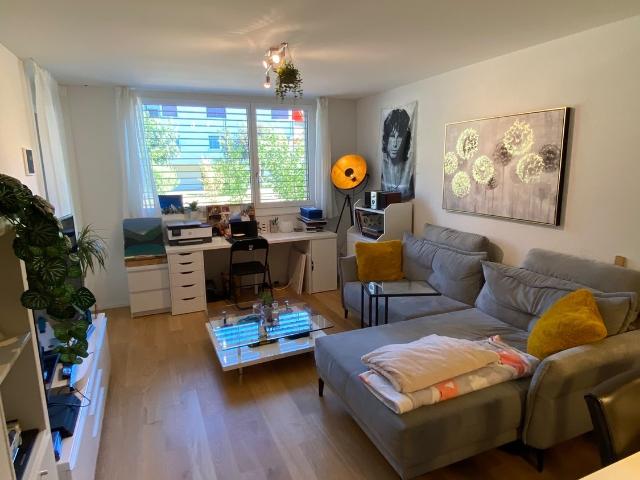 Apartment mieten in Muri Ag, Aargau