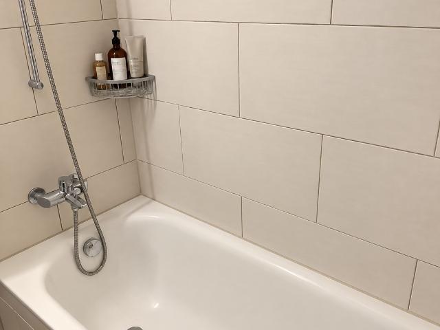Apartment mieten in Neuenhof, Aargau