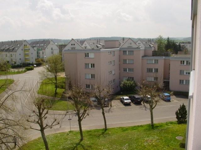 Apartment mieten in Niederhasli, Zürich