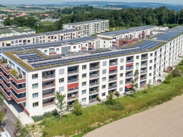 Apartment mieten in Niederwangen, Köniz