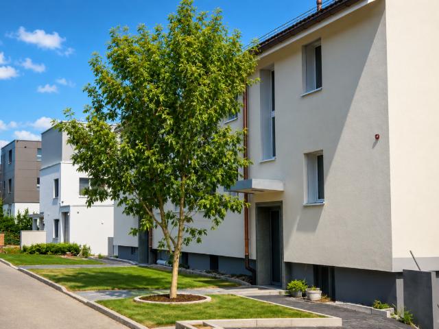 Apartment mieten in Oberengstringen, Zürich
