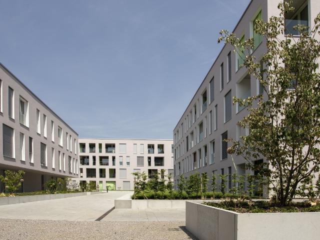 Apartment mieten in Oensingen, Solothurn