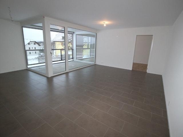 Apartment mieten in Haut-Intyamon, Lessoc