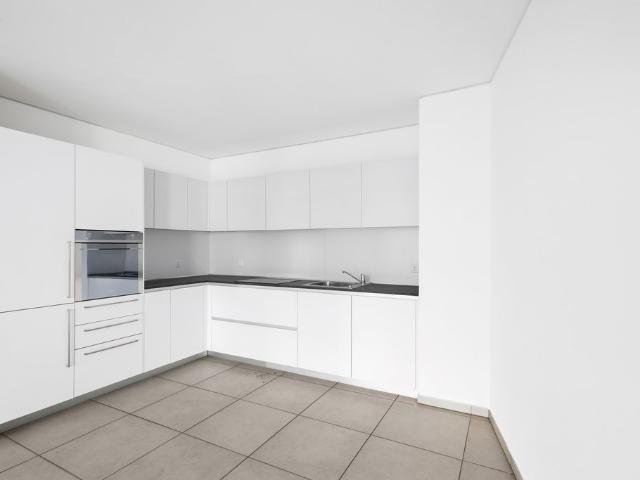 Apartment mieten in Paradiso, Tessin