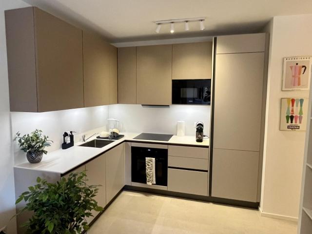 Apartment mieten in Paradiso, Tessin
