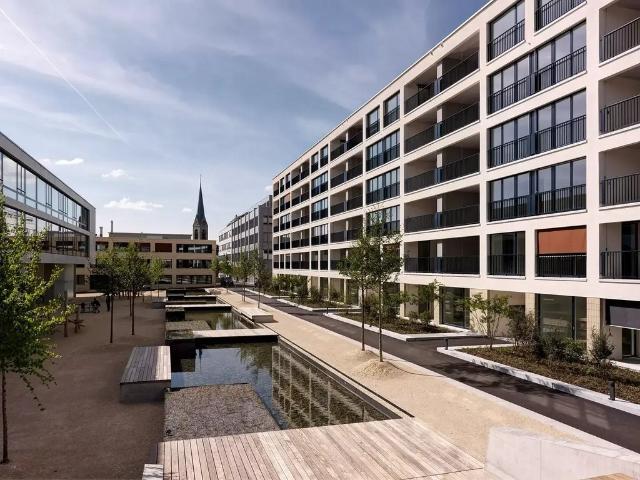 Apartment mieten in Pfäffikon (SZ), Zürich