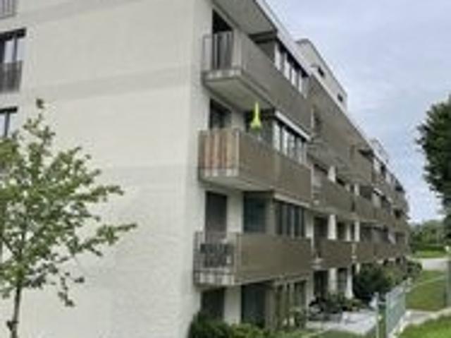 Apartment mieten in Pfäffikon (SZ), Zürich