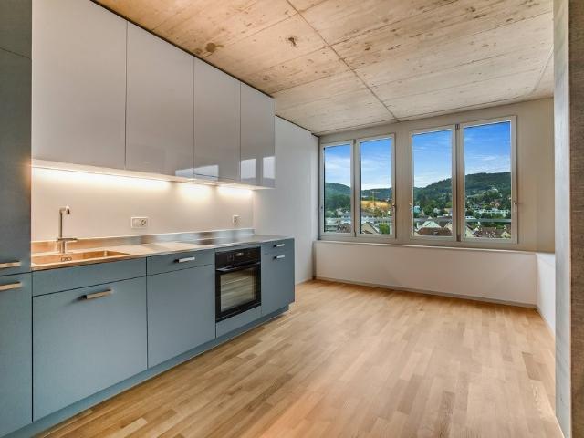 Apartment mieten in Reinach (BL), Basel-Landschaft