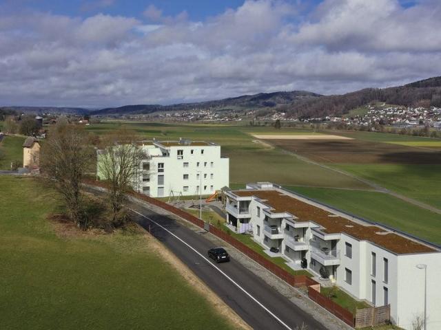 Apartment mieten in Reinach (AG), Aargau