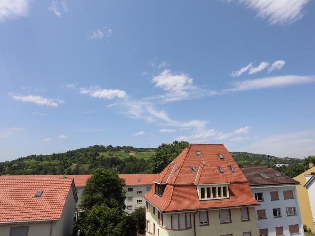 Apartment mieten in Riehen