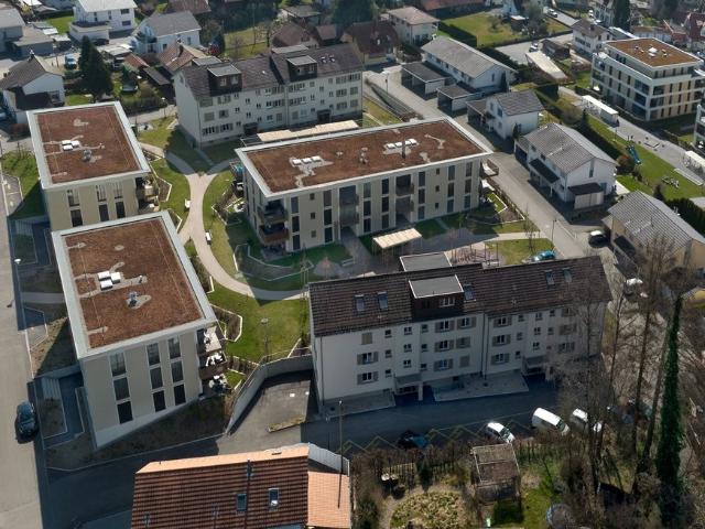 Apartment mieten in Roggwil (BE), Verwaltungsregion Emmental-Oberaargau