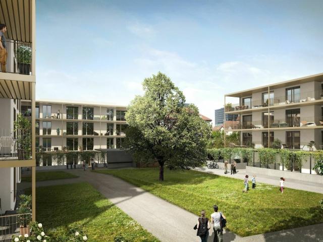 Apartment mieten in Rorschach, St. Gallen