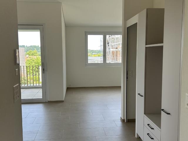 Apartment mieten in Wallbach, Schinznach