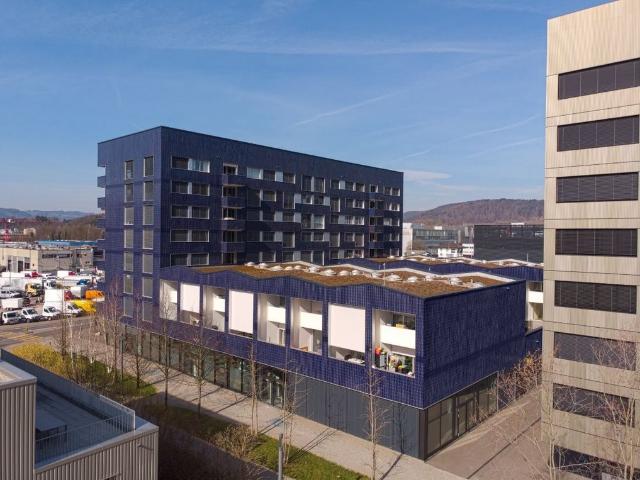Apartment mieten in Schlieren, Zürich
