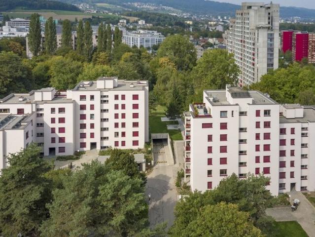 Apartment mieten in Schlieren, Bezirk Dietikon